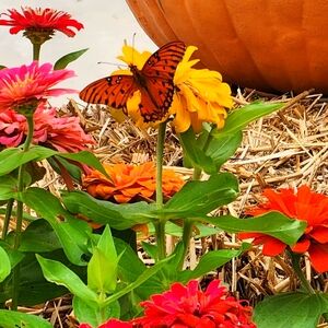 Meet your Posher, Doris